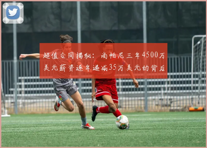 超值合同揭秘：尚帕尼三年4500万美元薪资逐年递减35万美元的背后故事