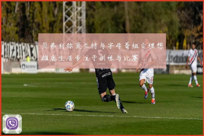 贝弗利称莫兰特与字母哥组合理想雄鹿生活专注于训练与比赛